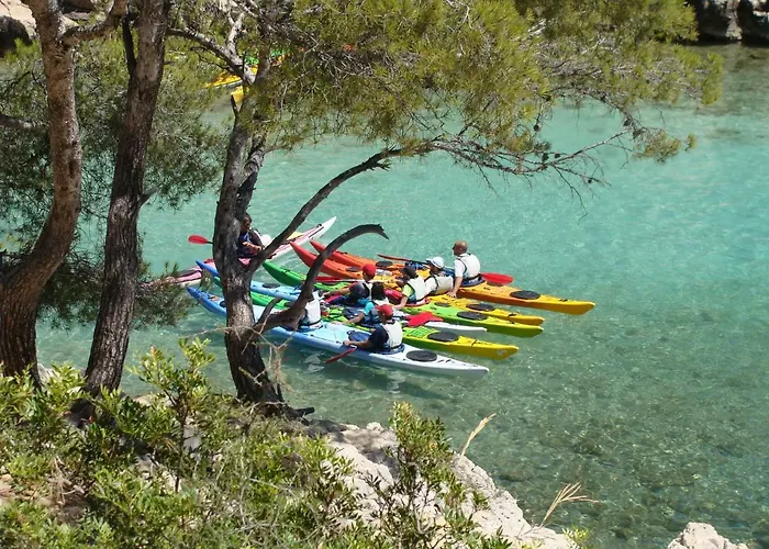Mistral Gagnant * Cassis